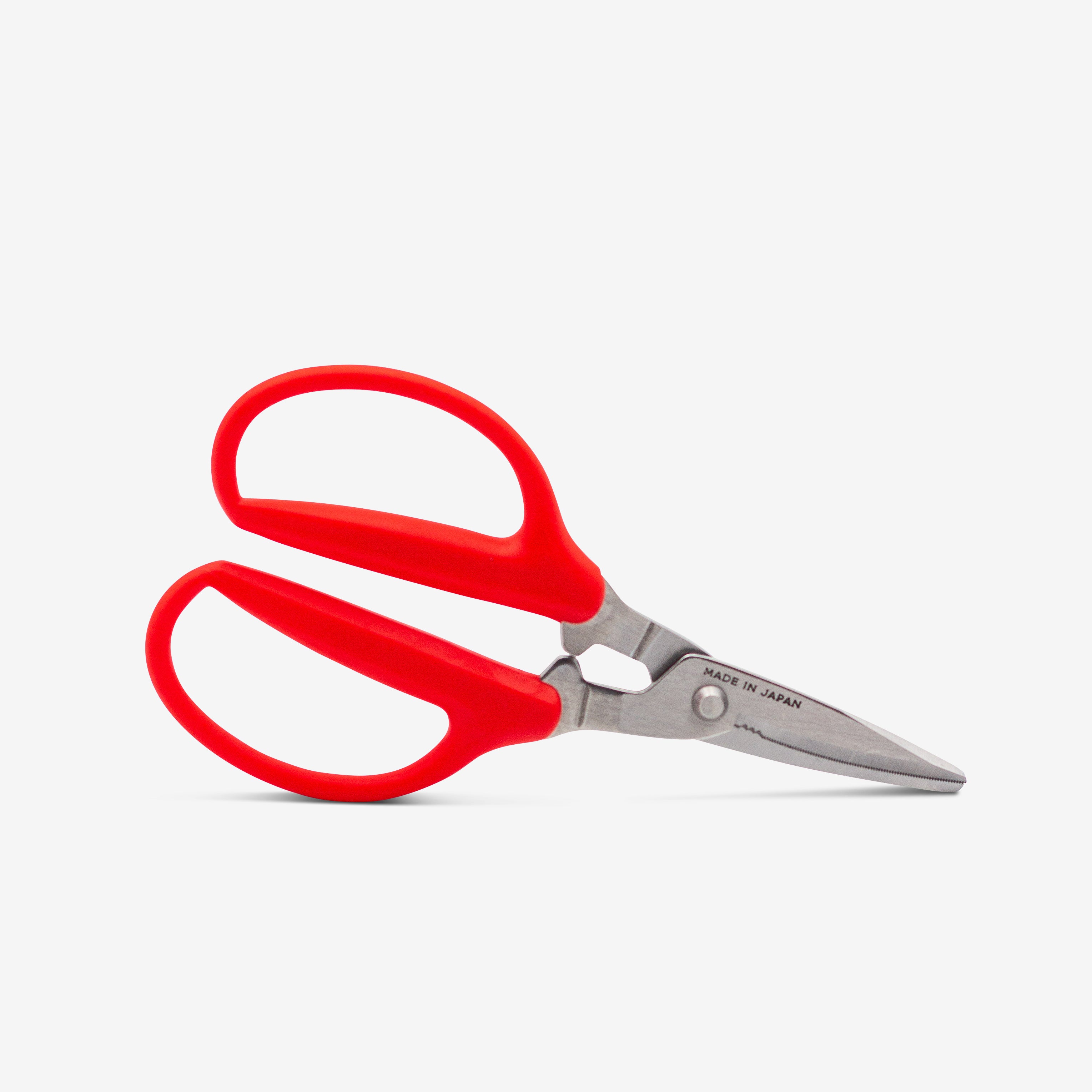 Houseplant scissors