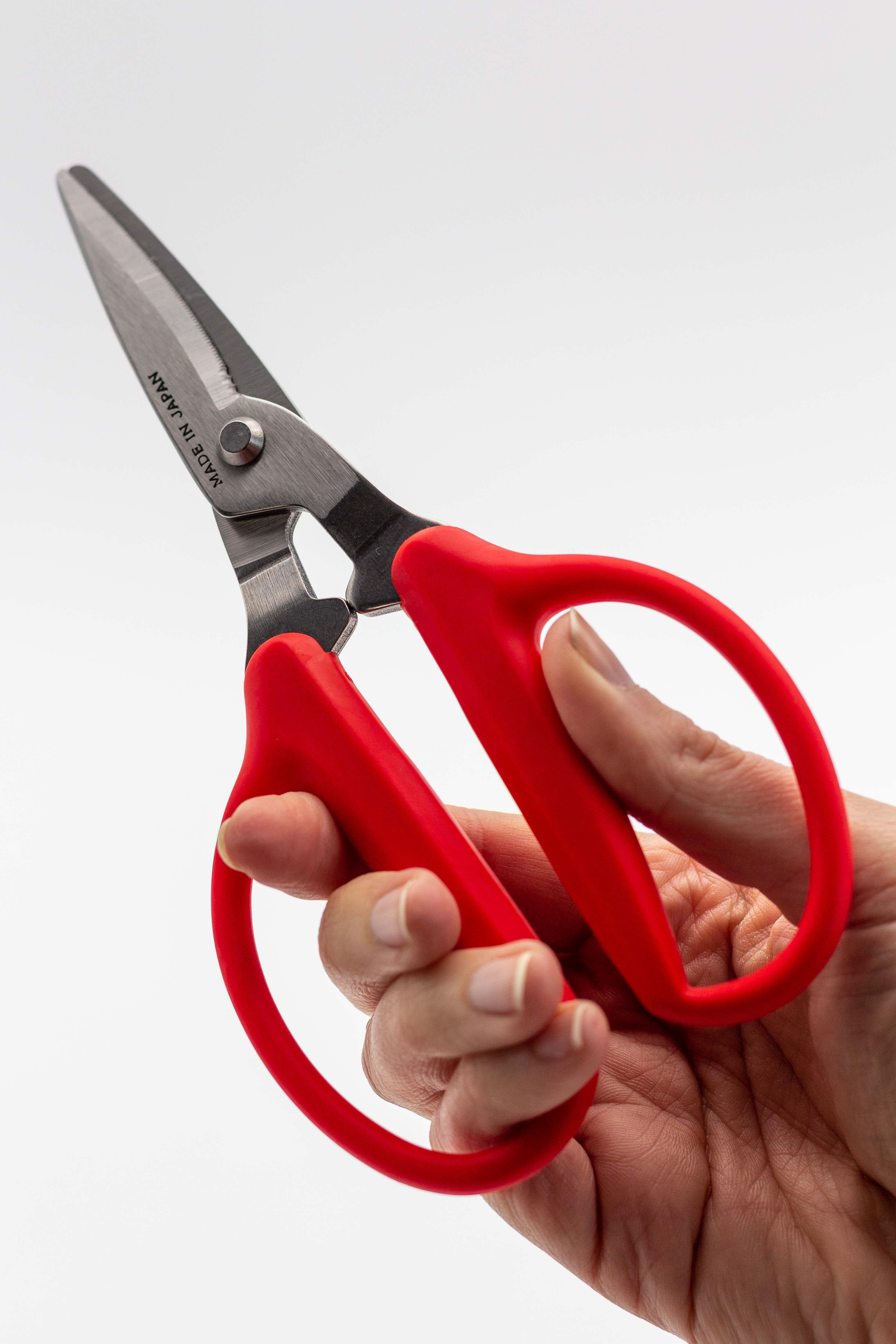 Houseplant scissors