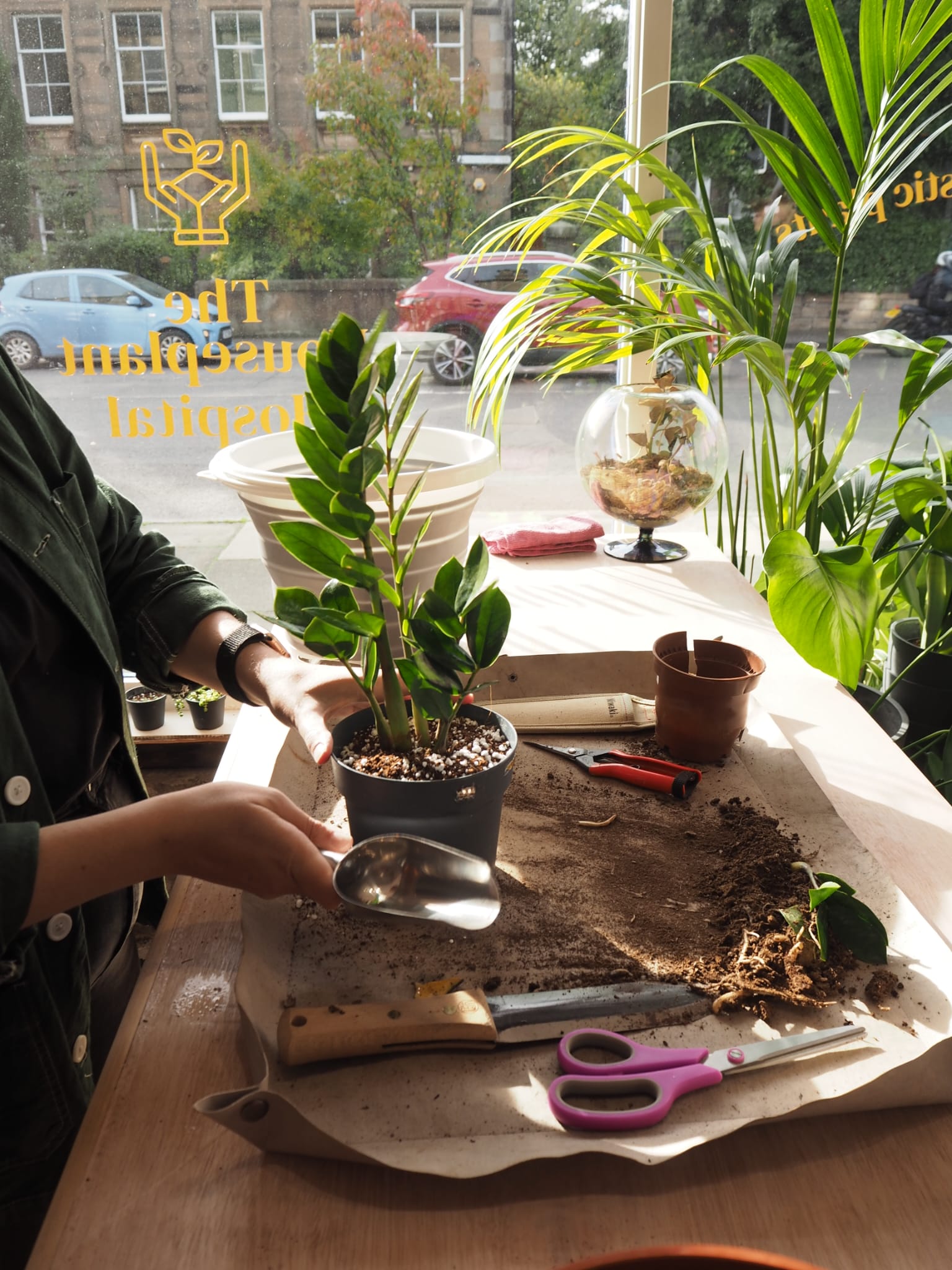 Repotting Workshop - 2nd March 2025