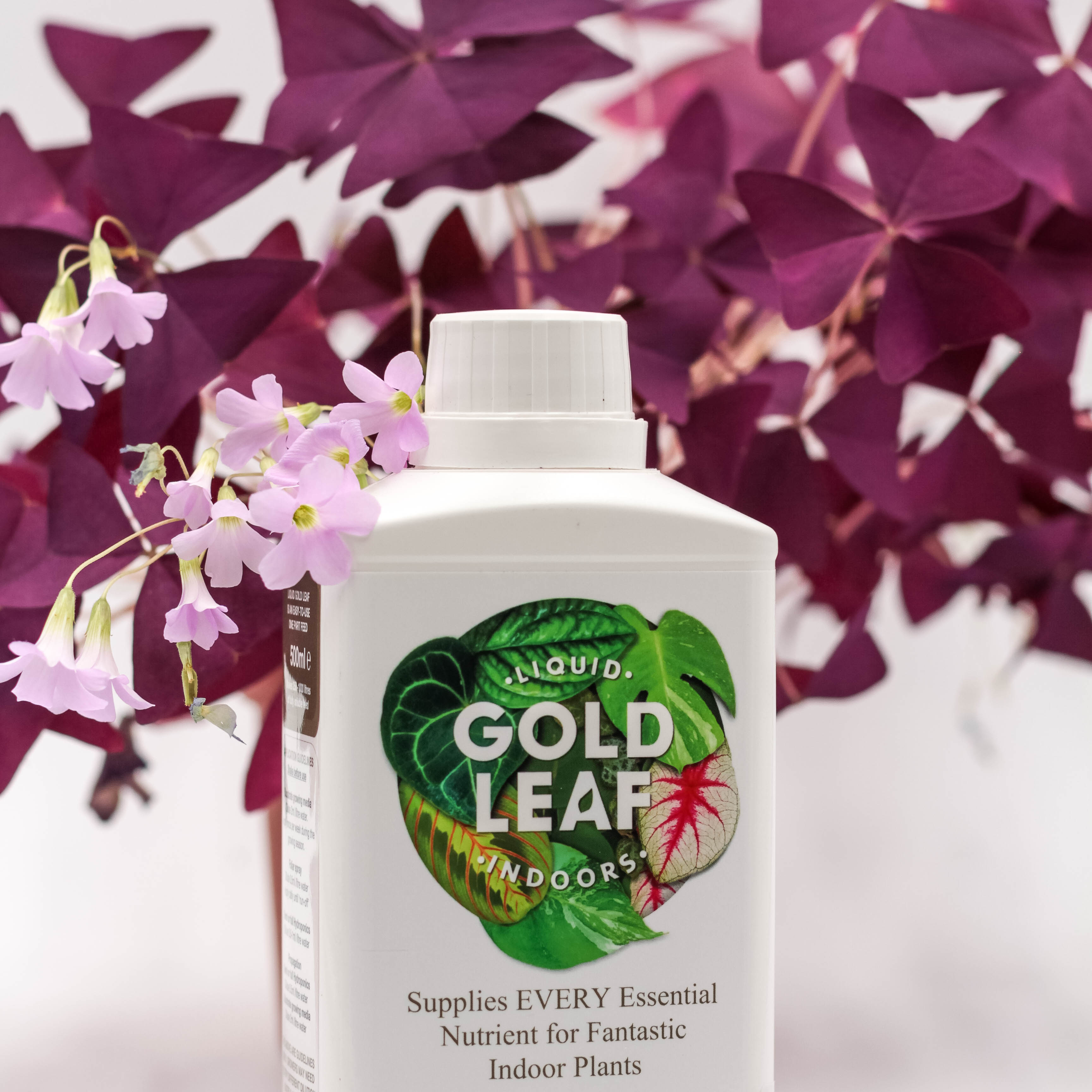 Liquid Gold Leaf – Hilda