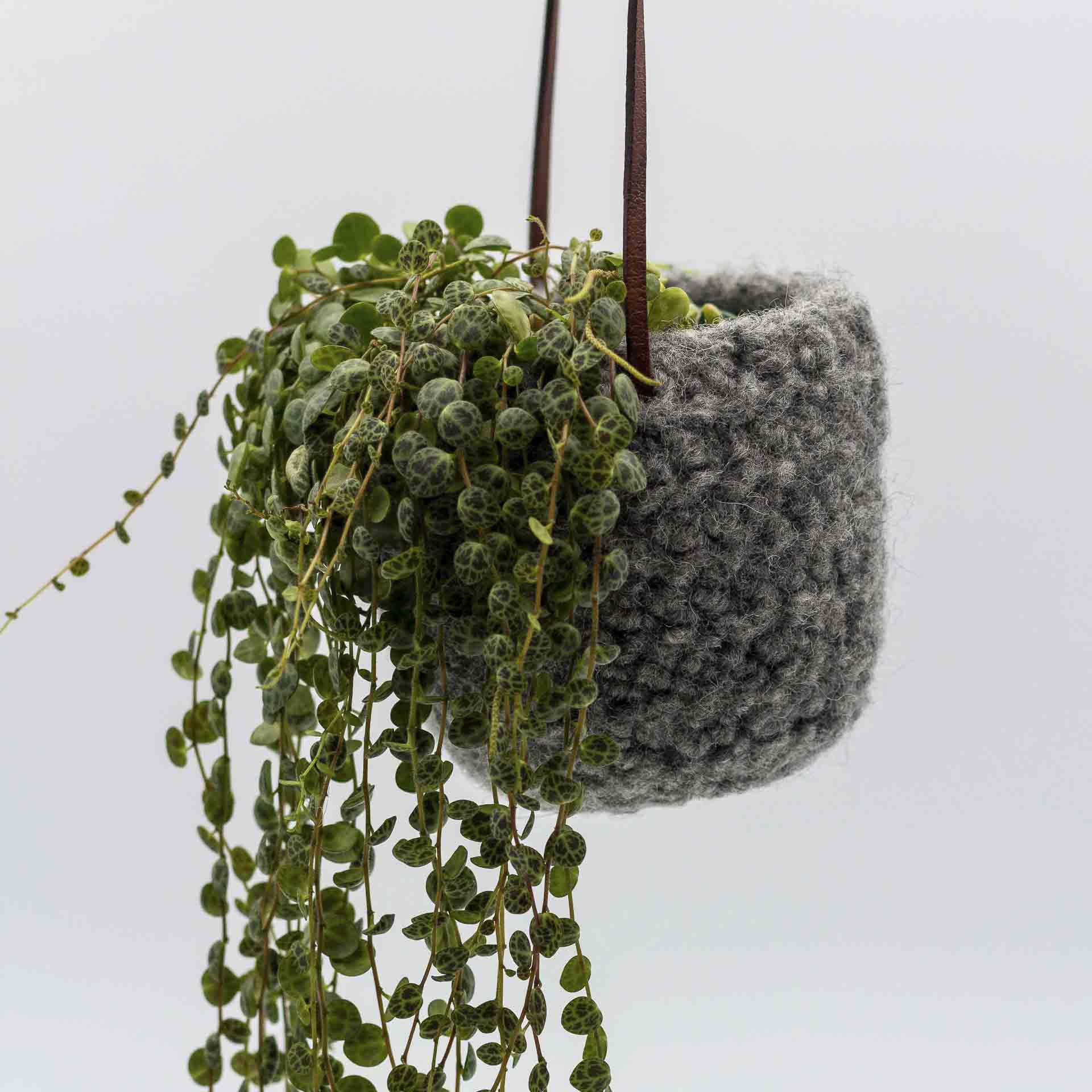 Hanging handmade planter grey wool