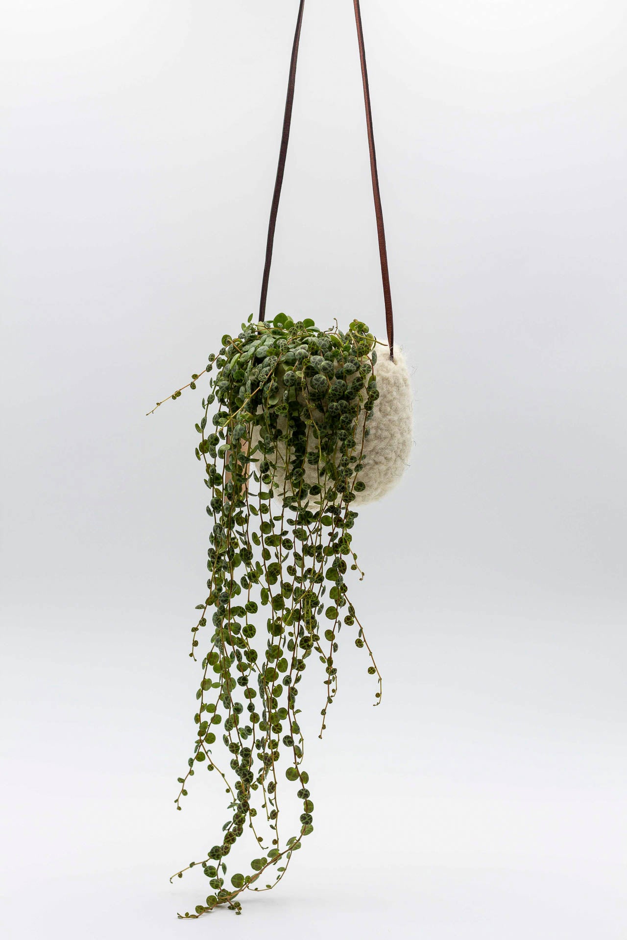 Hanging Plant Pot Cover White Wool