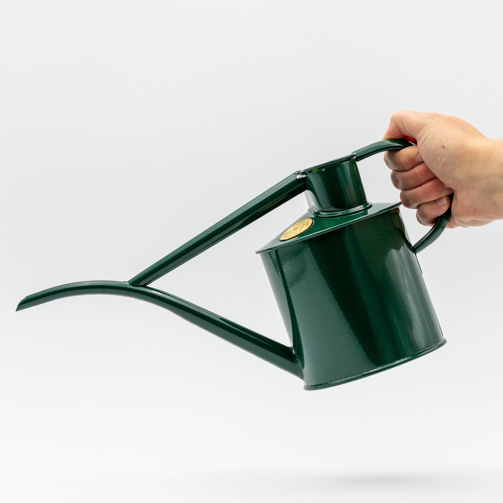houseplant watering can